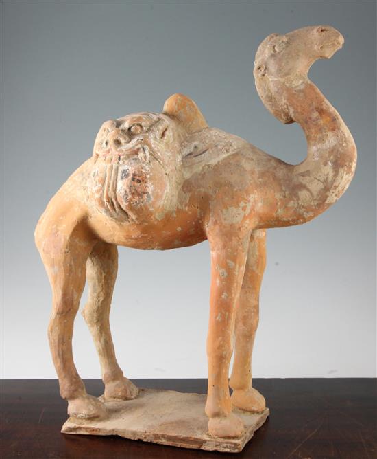 A Chinese painted pottery standing figure of a Bactrian camel, Tang dynasty (618-906AD),